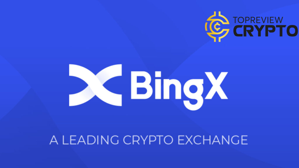 bingx-review